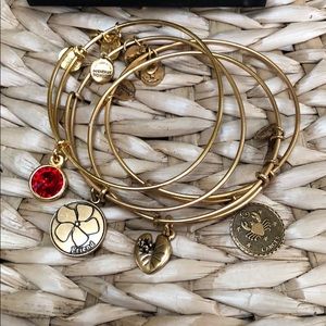Ruby stone and Cancer Alex and Ani bracelet only